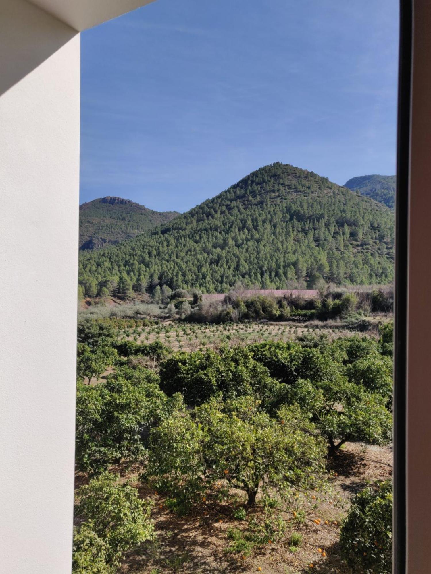 L'Almassera - Chimenea Y Montana Para Grupos En Aielo De Rugat Ayelo de Rugat 外观 照片